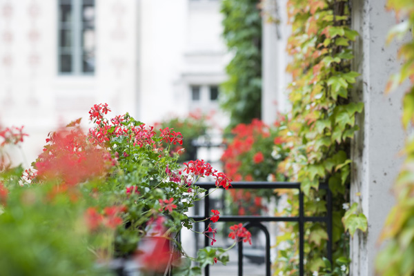 HOTEL IN LE MARAIS 